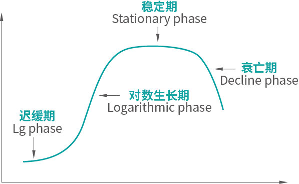 微生物生長(zhǎng)曲線測(cè)定