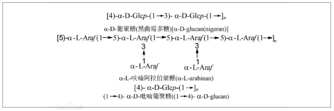 部分多糖的命名