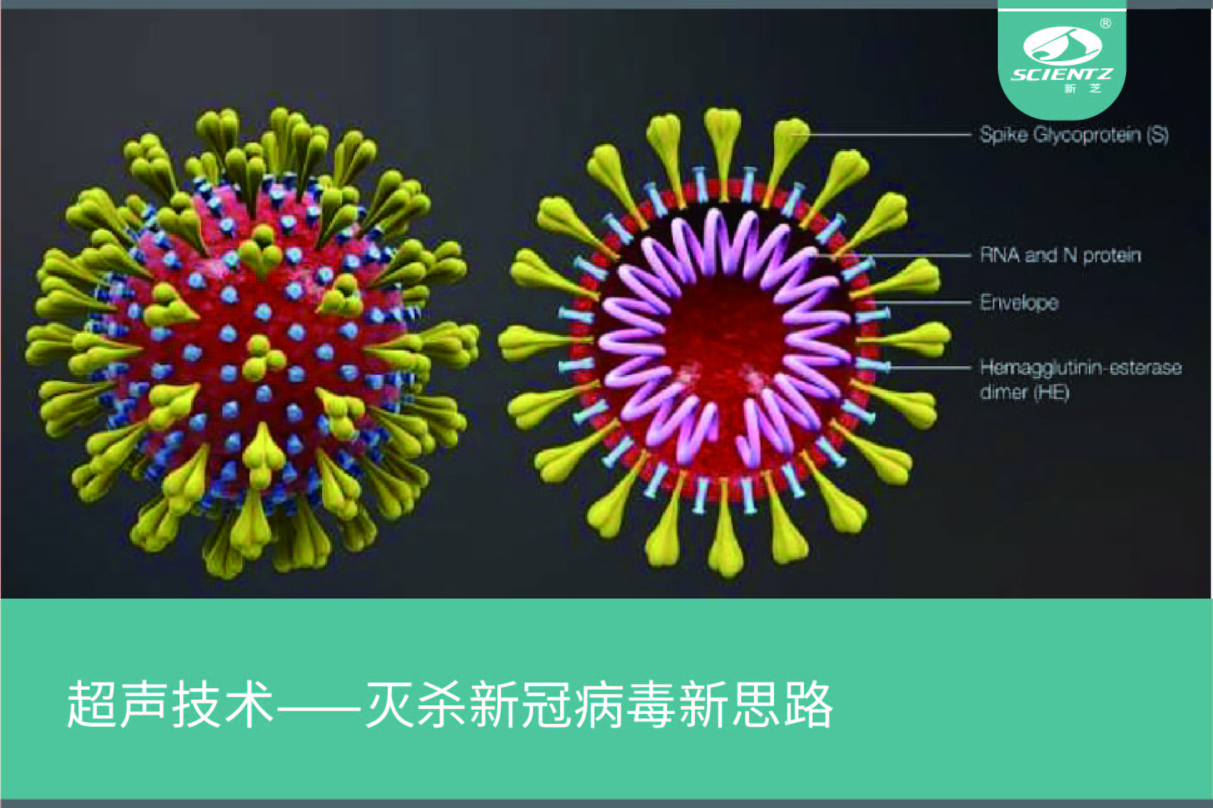 超聲技術(shù)——滅殺新冠病毒新思路